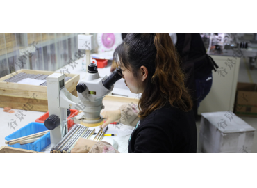 谷景電子關于鐵硅鋁磁環(huán)電感引腳晃動引發(fā)電感量變小的案例分享